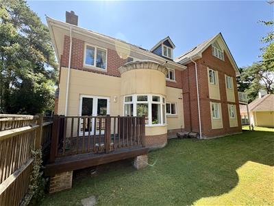 Picture 5